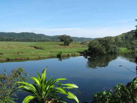 Daintree Riverview Lodges - Goulburn Accommodation 0