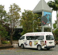 Daintree Wild Bed  Breakfast - Goulburn Accommodation