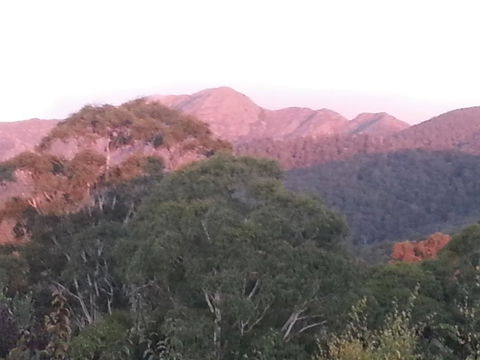 Day Dream Cottage - Goulburn Accommodation 2