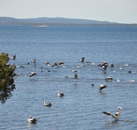 Denmark Waters BB - Goulburn Accommodation