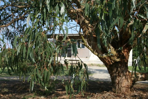 Driftwood Villas - Goulburn Accommodation 3