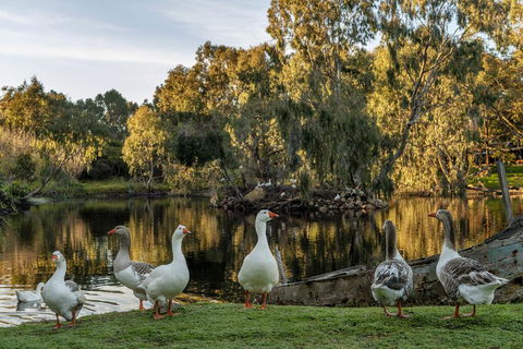 Empire Spa Retreat - Goulburn Accommodation 2