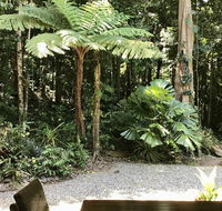 Forest Views Daintree - Goulburn Accommodation