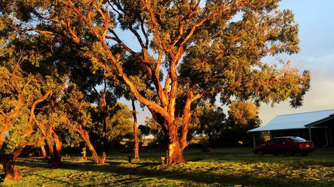 French Island Cottage - Goulburn Accommodation 1