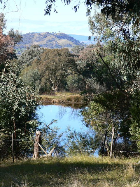 Gaddleen Grove Cottages - Goulburn Accommodation 3