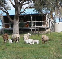 Gaddleen Grove Cottages - Goulburn Accommodation