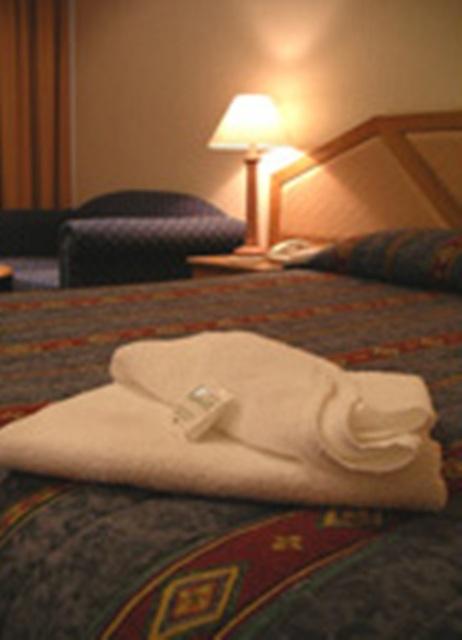 Goulburn Central Motor Lodge - Goulburn Accommodation 3
