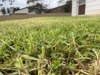 Book Karoonda Accommodation Vacations Goulburn Accommodation Goulburn Accommodation