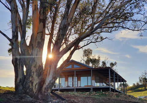 Kestrel Nest EcoHut - Goulburn Accommodation 0