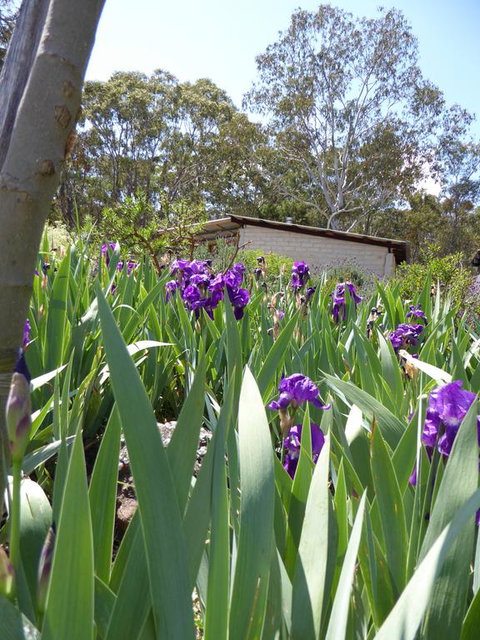Lakeside Lodge Armidale - Goulburn Accommodation 3