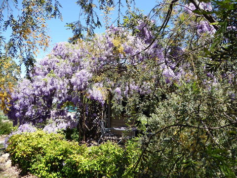 Lakeside Lodge Armidale - Goulburn Accommodation 1