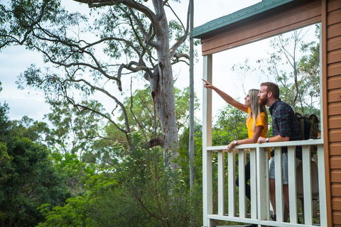Lane Cove Holiday Park - Goulburn Accommodation 1