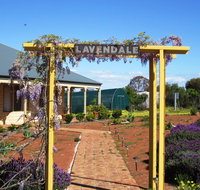 Lavendale Farmstay and Cottages York - Goulburn Accommodation