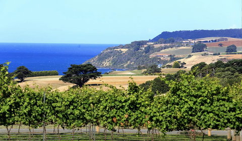 Mallavale Farm, Boat Harbour - Goulburn Accommodation 0