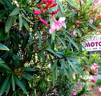 Mercury motor inn - Goulburn Accommodation