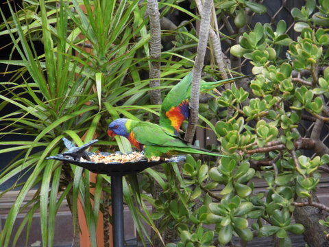 Nanango Fitzroy Motel - Goulburn Accommodation 2