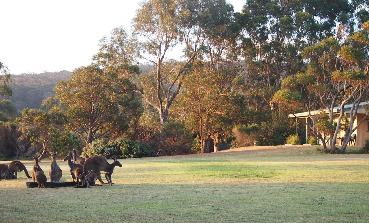 Walpole WA Goulburn Accommodation