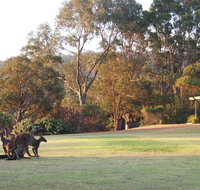Riverside Retreat Chalets Walpole - Goulburn Accommodation