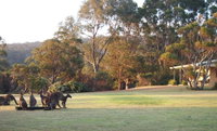 Book Walpole Accommodation Vacations Goulburn Accommodation Goulburn Accommodation