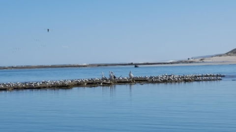 Kalbarri Seaview Villas - Goulburn Accommodation 33