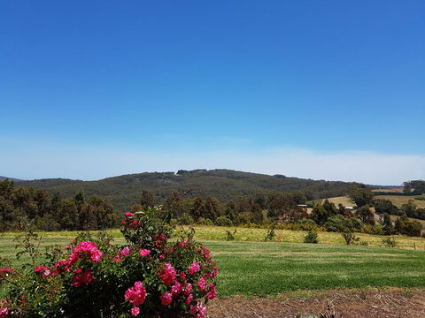 Karri Aura - Goulburn Accommodation 9