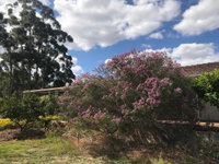 Book Cockburn Central Accommodation Vacations Goulburn Accommodation Goulburn Accommodation