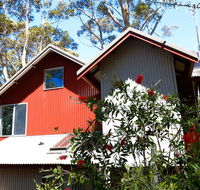 Pelicans at Denmark - Goulburn Accommodation