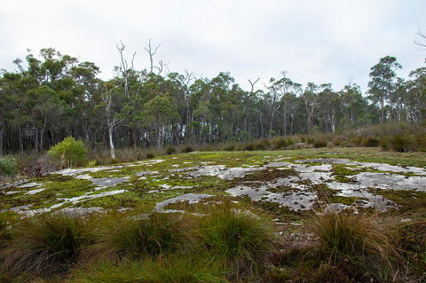 Denmark Forest Retreat - Goulburn Accommodation 26