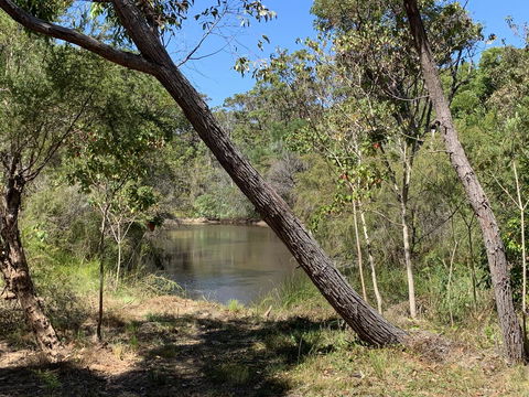 Denmark Forest Retreat - Goulburn Accommodation 32