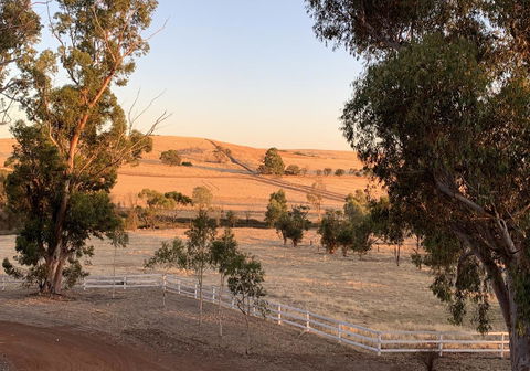 Daisy Cottage - Goulburn Accommodation 4