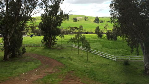 Daisy Cottage - Goulburn Accommodation 22