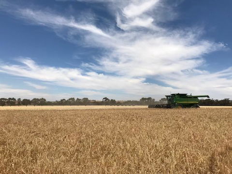 The Mains Guest House 2 Bedroom Farm Stay - Goulburn Accommodation 17