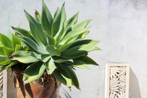 Moana Spa Villas - Prime Yallingup Location - Goulburn Accommodation 22