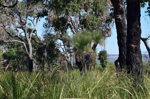 Eagle Bay House - Goulburn Accommodation 23