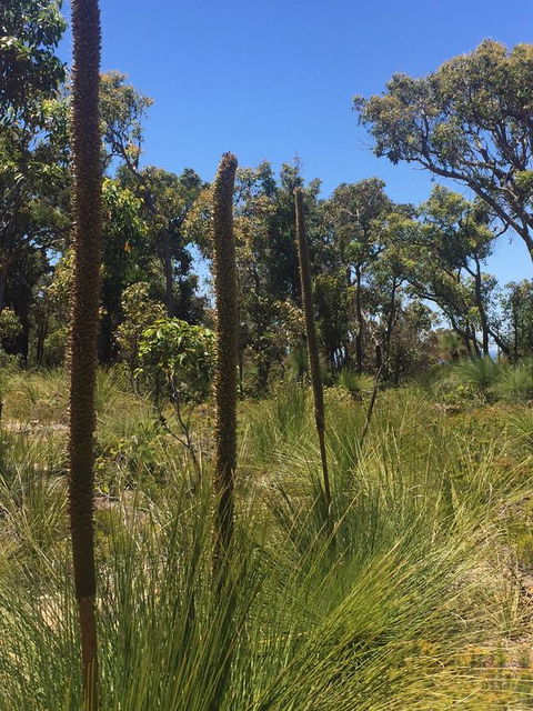 Eagle Bay House - Goulburn Accommodation 15
