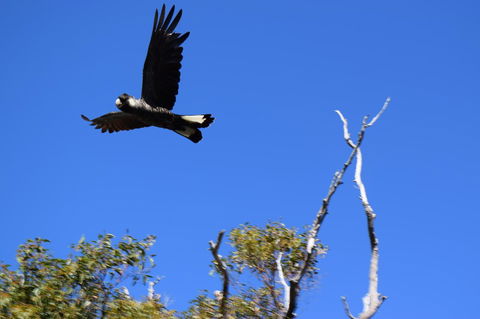 Eagle Bay House - Goulburn Accommodation 20