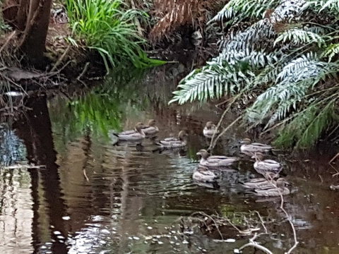 Strahan Retreat Holiday Park - Goulburn Accommodation 24