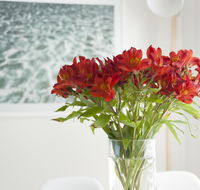 On The Beach Waterfront Apartment - Goulburn Accommodation