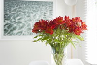 Book Kingston Beach Accommodation Vacations Goulburn Accommodation Goulburn Accommodation