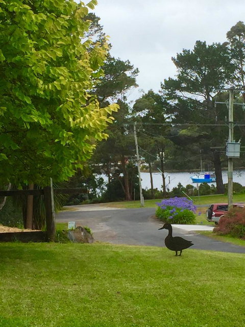Wandering Geese Boutique Bed And Breakfast - Goulburn Accommodation 15