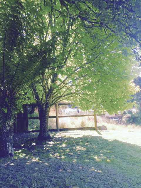Wandering Geese Boutique Bed And Breakfast - Goulburn Accommodation 30