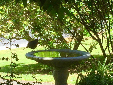 Wandering Geese Boutique Bed And Breakfast - Goulburn Accommodation 19