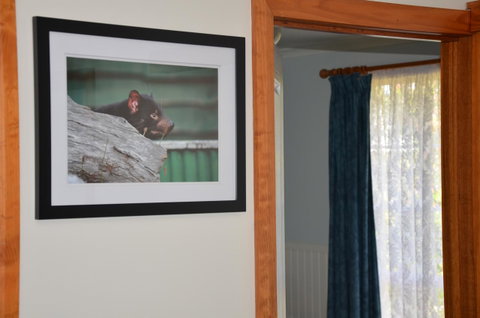 Castaway Holiday Apartments - Goulburn Accommodation 3