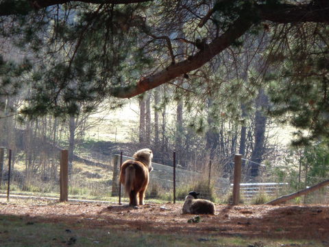 Post House Cottage - Goulburn Accommodation 17