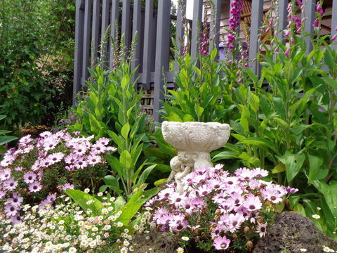 Post House Cottage - Goulburn Accommodation 19