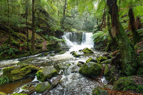 Post House Cottage - Goulburn Accommodation 22