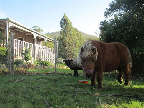 Post House Cottage - Goulburn Accommodation 3