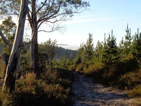 Post House Cottage - Goulburn Accommodation 24