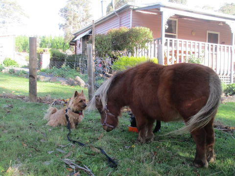 Post House Cottage - Goulburn Accommodation 4
