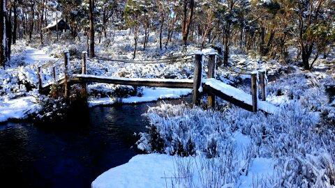 Cradle Mountain Love Shack - Goulburn Accommodation 10